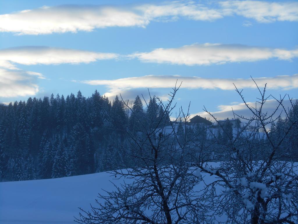 Ferienwohnung Zirmheim Westendorf Buitenkant foto